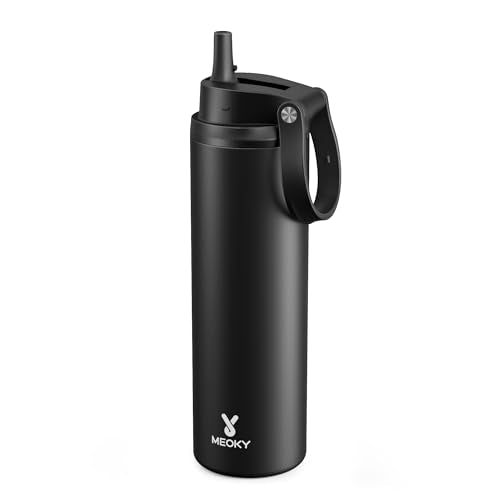 24 oz Insulated Stainless Steel Water Bottle with Straw