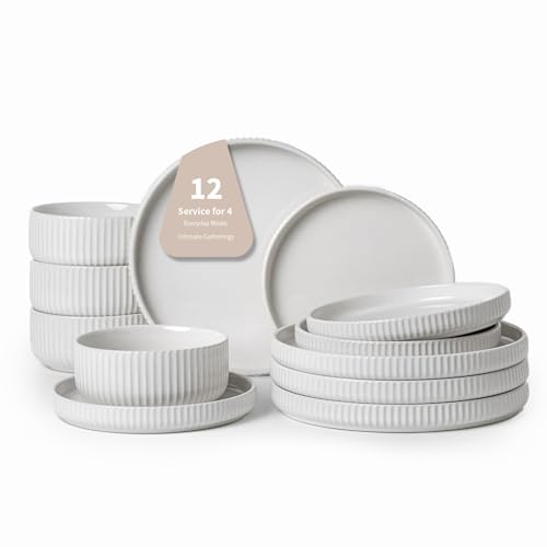 12 Piece Microwave Safe Stoneware Dinnerware Set