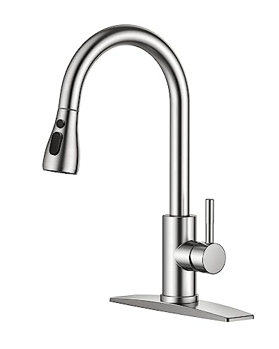 Kitchen Faucet with Pull Down Sprayer, High Arc