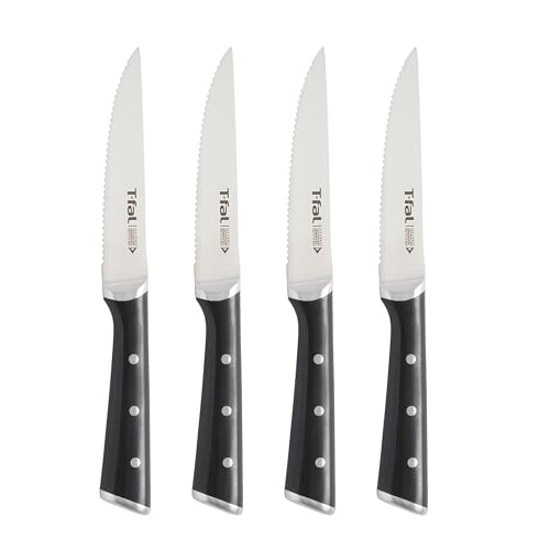 4 Piece Tefal Ice Force Steak Knife Set