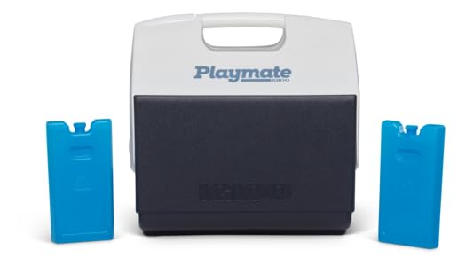 2 Pack Igloo Maxcold Ice Blocks