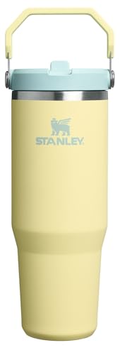 STANLEY 30 oz Insulated Flip Straw Tumbler