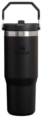 30oz STANLEY Vacuum Insulated Tumbler with Straw