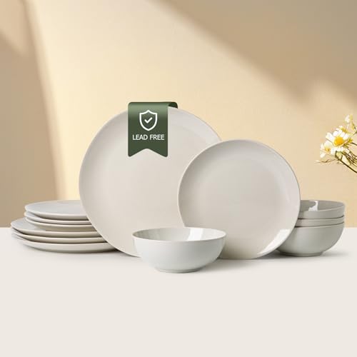 12 Piece Ceramic Dinnerware Set Plates Bowls Stoneware