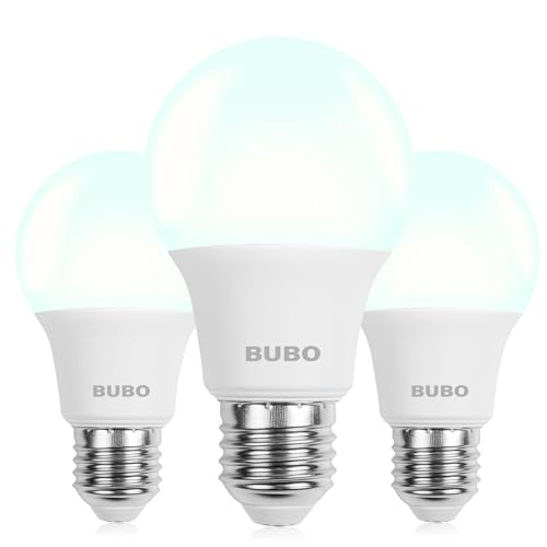 3 Pack A19 40W Equivalent LED Light Bulbs