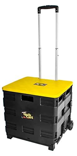 Collapsible Rolling Crate on Wheels, 80 lbs Capacity