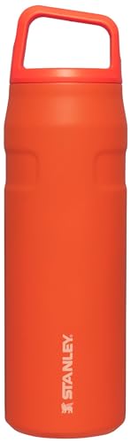 24 oz STANLEY IceFlow Insulated Water Bottle