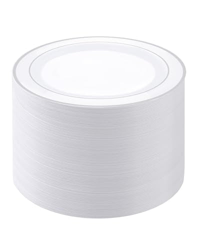 100 Count Heavy Duty 10-Inch Plastic Dinner Plates