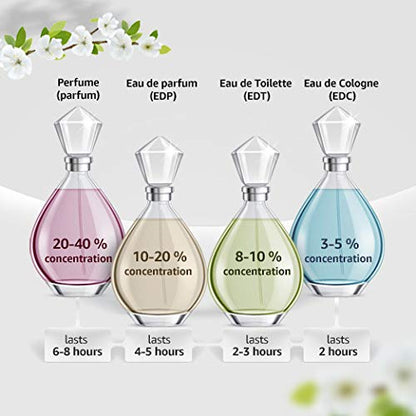 Salvatore Ferragamo F Free Time Eau De Toilette