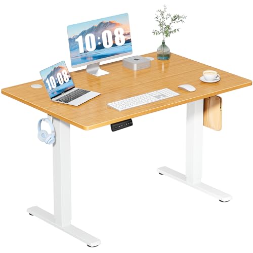48-Inch Electric Height Adjustable Standing Desk