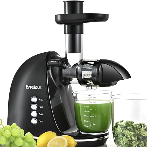 Slow Masticating Juicer, Cold Press Vegetable Fruit Machine