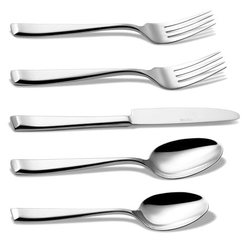 20 Piece Stainless Steel Silverware Flatware Set
