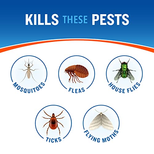 2 Pack Cutter Bug Control Spray Concentrate