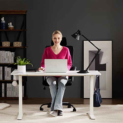 SMUG Standing Desk, 48 x 24 in Electric Height Adjustable Computer Desk Home Office Desks Sit Stand up Desk Computer Table with Memory Controller/Headphone Hook, White