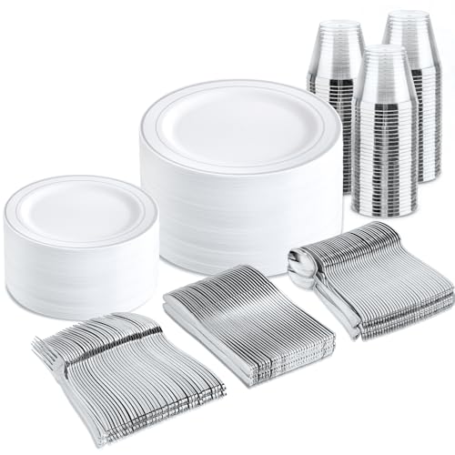 300 Piece Disposable Plastic Dinnerware Set for 50