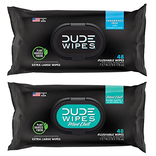 2 Pack DUDE Flushable Adult Wipes 96 Count