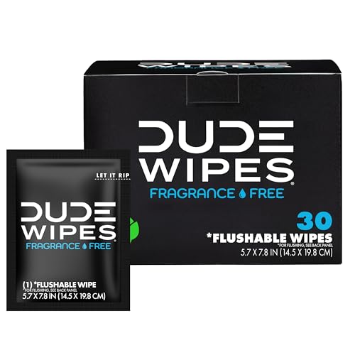 30 Count Dude Flushable Travel Wipes for Adults