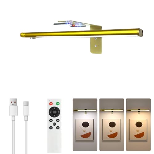 12-Inch Rechargeable Motion Sensor LED Picture Light