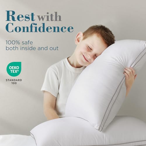 Queen Size Gusseted Down Alternative Pillows Set