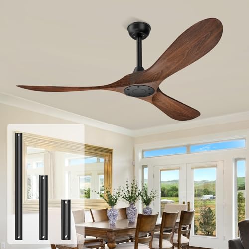 52 Inch Ceiling Fan with Remote, Indoor Outdoor