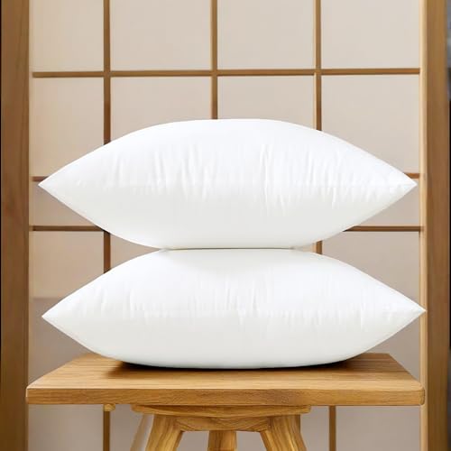 2 Pack Square Throw Pillow Inserts 20 x 20
