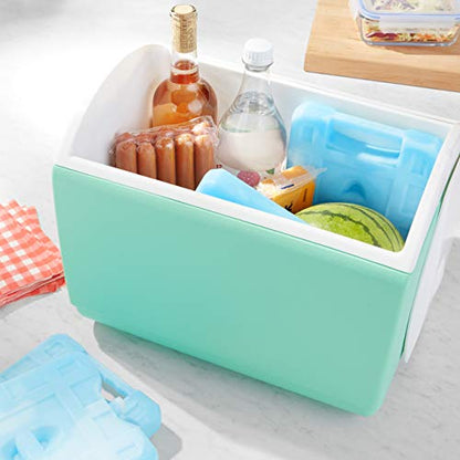 4 Pack Amazon Basics Rectangular Ice Packs