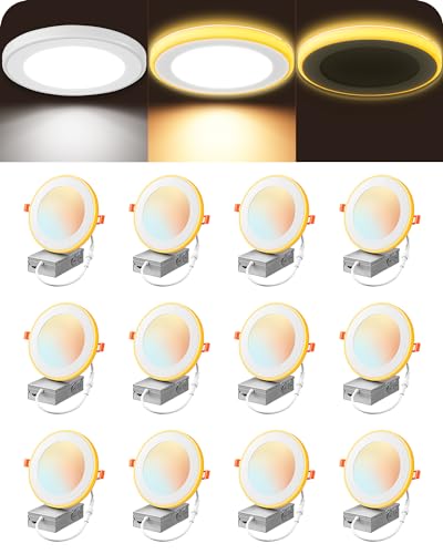 12 Pack 4 Inch Recessed LED Ceiling Lights