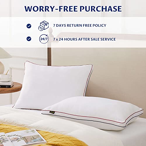 Homemate Bed Pillows for Sleeping - Standard Size(20"x26") Set of 2 Gusset Pillows Allergy Friendly Microfiber Shell Fluffy Down Alternative Filling Pillow Suitable Back Stomach or Side Sleepers