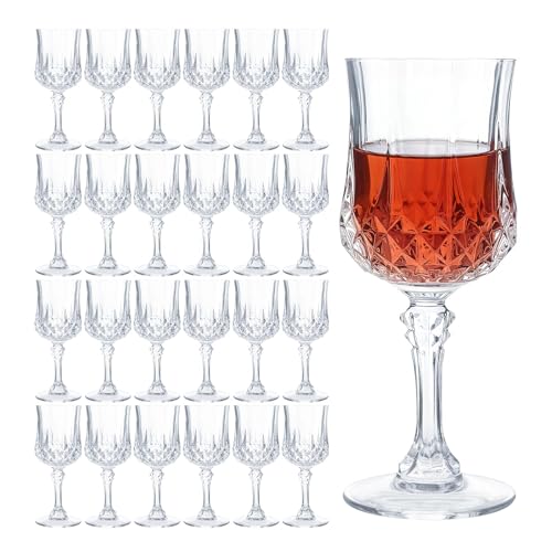 24 Pack Vintage Plastic Wine Goblet Glasses Set