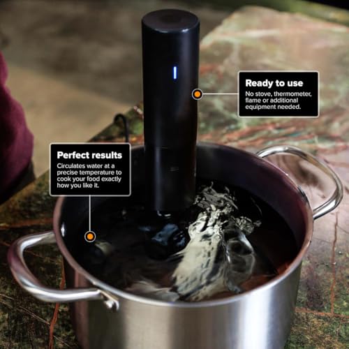 Anova Sous Vide Precision Cooker Mini, 850W