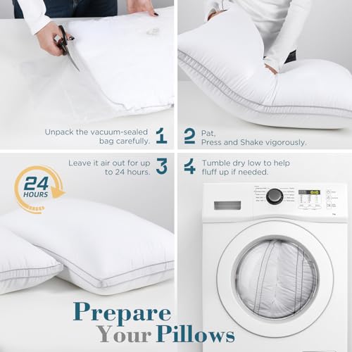 Queen Size Gusseted Down Alternative Pillows Set