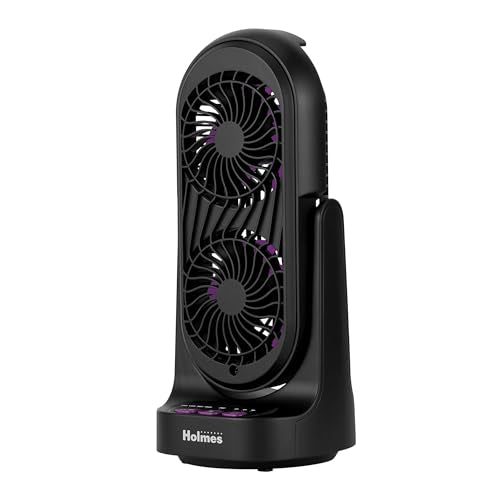 Holmes 13” Dual Blade Desk Fan, 3 Speeds Timer
