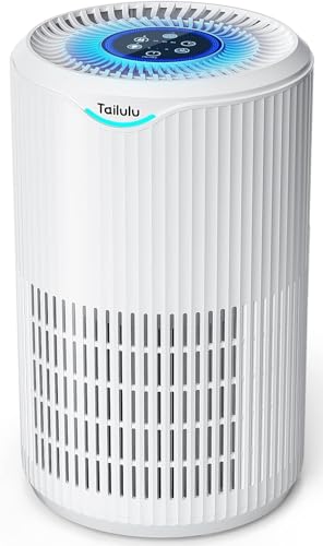 H13 HEPA Large Room Air Purifier