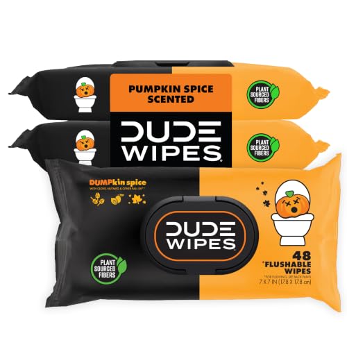 144 Count DUDE Wipes Pumpkin Spice Flushable Wipes