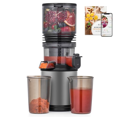 AMZCHEF Wide Chute Slow Masticating Juicer Machine
