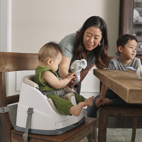 Ingenuity 2-in-1 Booster Feeding and Floor Seat