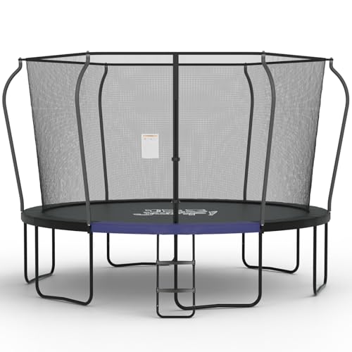 10FT Outdoor Trampoline with Safety Net and Ladder