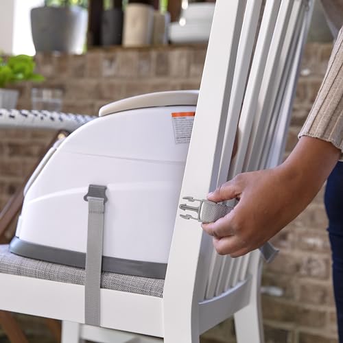 Ingenuity 2-in-1 Booster Feeding and Floor Seat