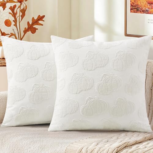 2 Pack Textured Pumpkin Throw Pillow Covers