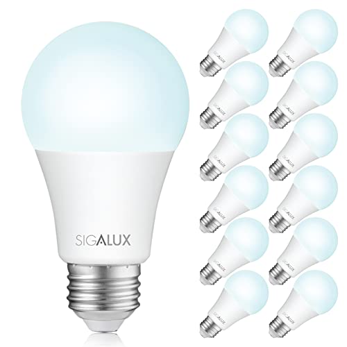 12 Pack LED Light Bulbs 100W Equivalent A19