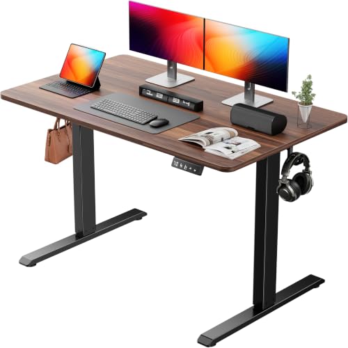 Electric Height Adjustable Standing Desk 48 x 24 Inch