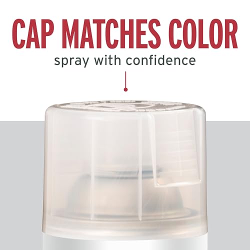 Rust-Oleum 6-Pack Stops Rust Spray Paint, Gloss Clear
