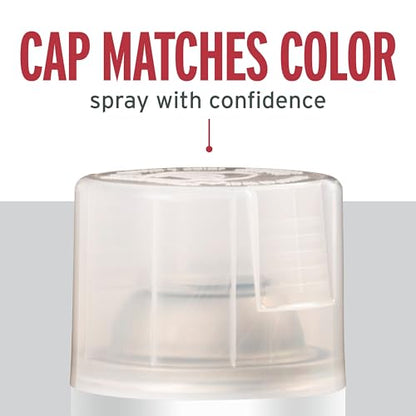 Rust-Oleum 6-Pack Stops Rust Spray Paint, Gloss Clear