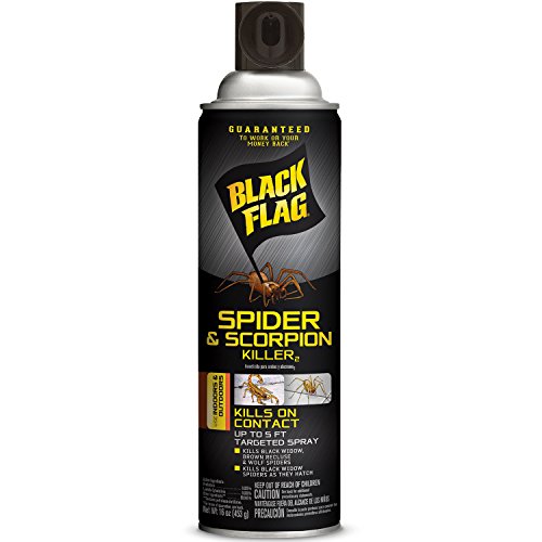 16-Ounce Black Flag Spider and Scorpion Killer Aerosol