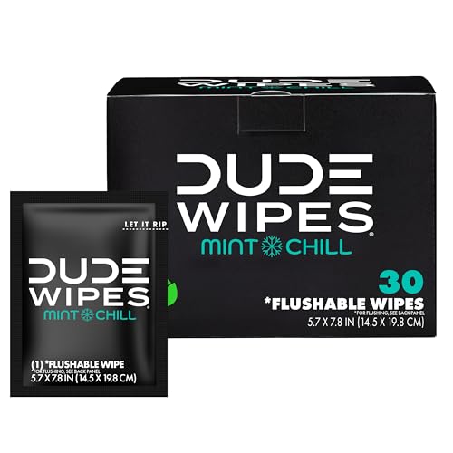 30 Pack Dude Flushable Wipes, Extra-Large, Individually Wrapped