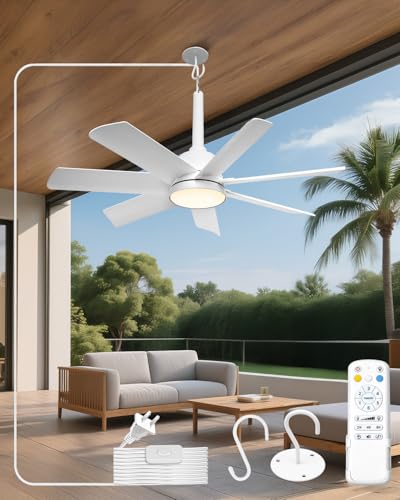 28" Outdoor Ceiling Fan with Light and Remote