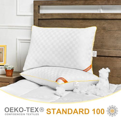 Swandream Queen Pillows Size Set of 2, Soft and Skin Friendly Down Alternative Pillow for Sleeping, Breathable Pillow for Back, Stomach or Side Sleepers, Golden, 20 * 28 Inches