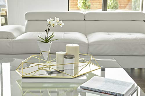 Umbra - 1004372-524 Trigg Desktop Planter Vase & Geometric Container-for Succulent, Air, Mini Cactus, Faux Plants and More, Desk, White/Brass
