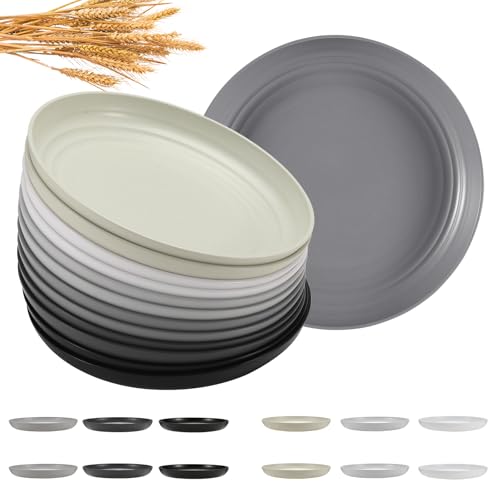 12 Pack Unbreakable Reusable Dessert Plates