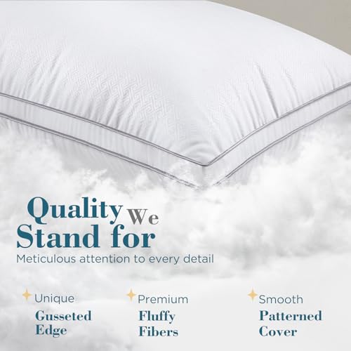Queen Size Gusseted Down Alternative Pillows Set